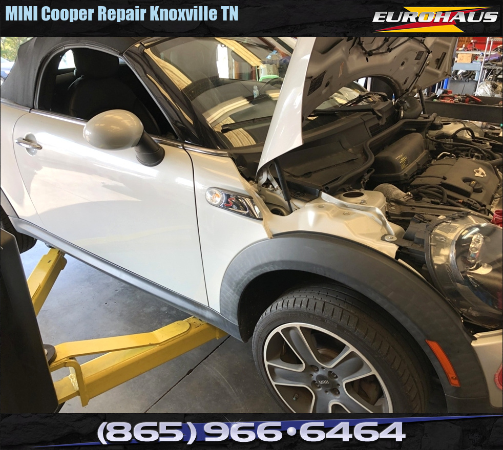 EuroHaus MINI Cooper Repair MINI Cooper Repair Knoxville TN MINI Cooper